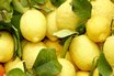 Limoni Freschi In Un Mercato A Limone Lago Di Garda