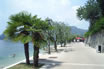 Passeggiata Al Lago Di Garda