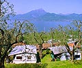 Campeggio Spiaggia D Oro Torri Del Benaco Lago di Garda