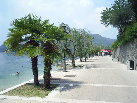 Promenade mit  cu Palmen, Garda